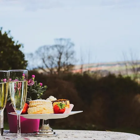 Aislaby Hall Holiday home *